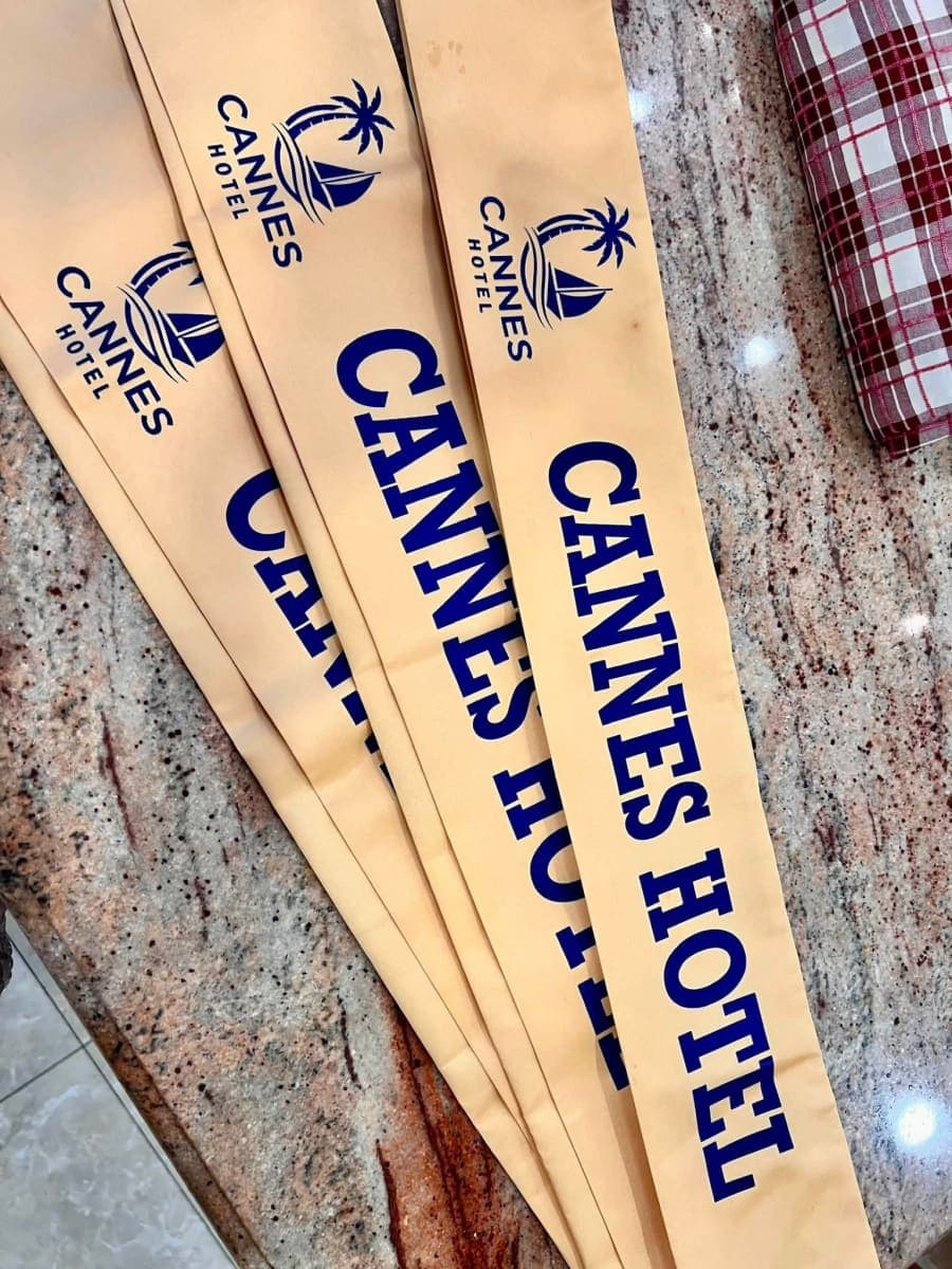 Lễ công bố Cannes Hotel đạt tiêu chuẩn Khách sạn 3 sao. — Ảnh 3